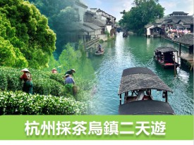 杭州採茶烏鎮二天遊